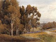 unknow artist A Grove of Eucalyptus in Spring France oil painting artist